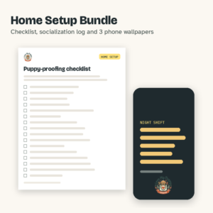 Home Setup Bundle