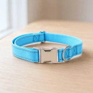 Close-up of the sky blue collar: nylon webbing, reflective edge stitching, metal buckle and D-ring