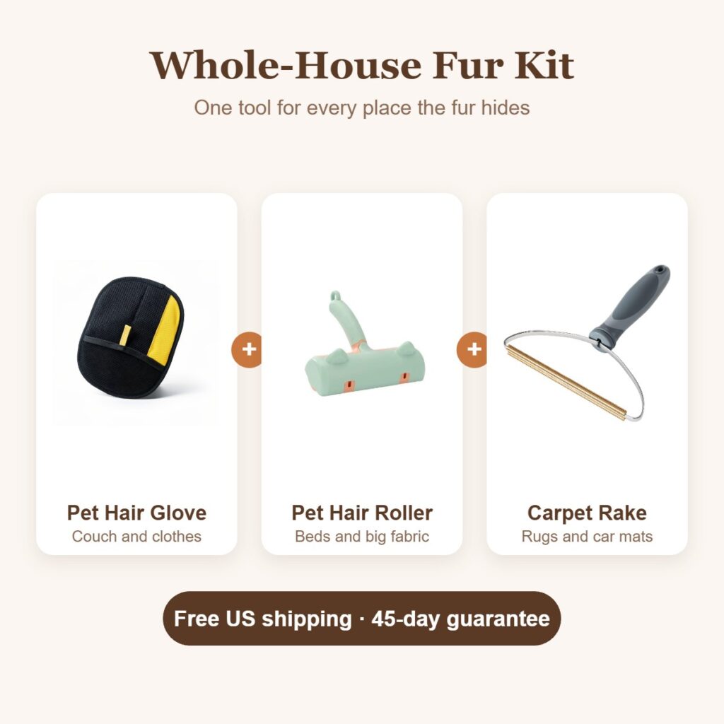 The Whole-House Fur Kit: pet hair glove, reusable roller and carpet rake